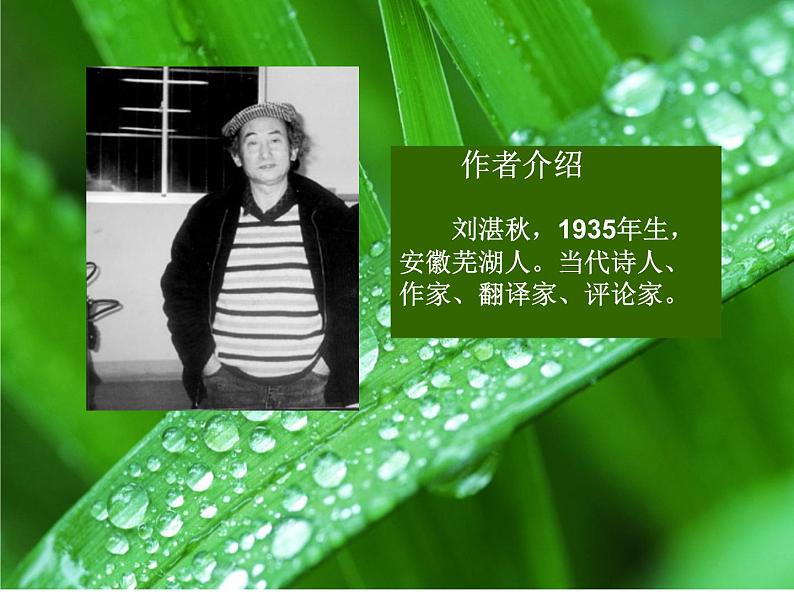 人教部编语文七年级上 雨的四季2 课件第3页