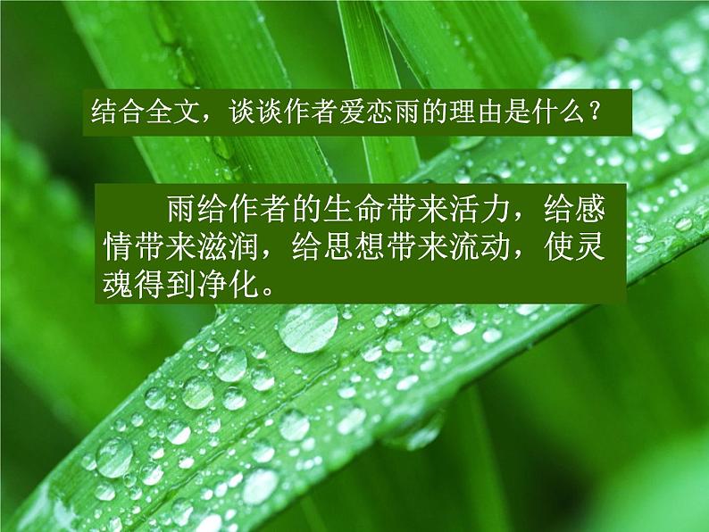 人教部编语文七年级上 雨的四季2 课件第5页