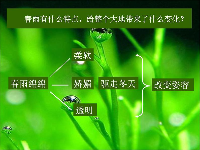 人教部编语文七年级上 雨的四季2 课件第6页