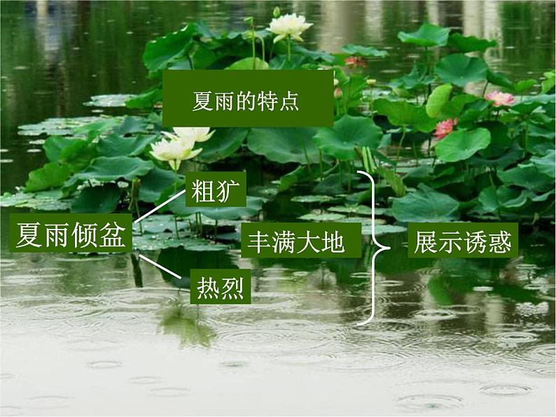 人教部编语文七年级上 雨的四季2 课件第7页