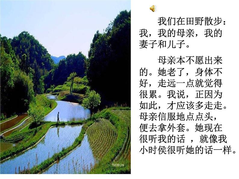 人教部编语文七年级上 散步1 课件06