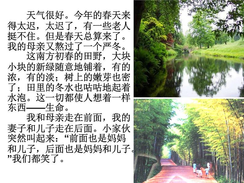 人教部编语文七年级上 散步1 课件07