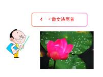 初中语文人教部编版七年级上册第一单元3*雨的四季背景图课件ppt