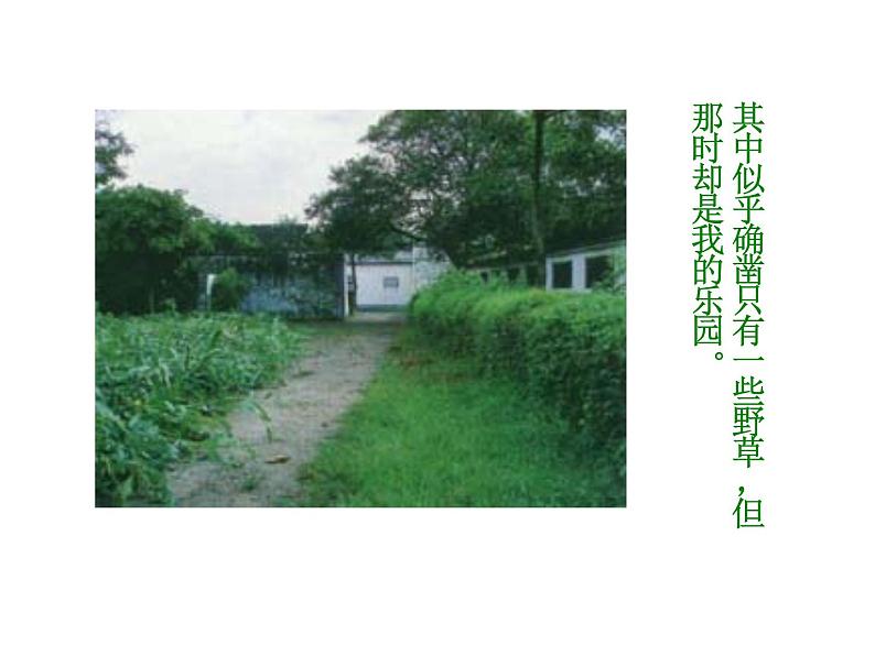 人教部编语文七年级上 从百草园到三味书屋2 课件03