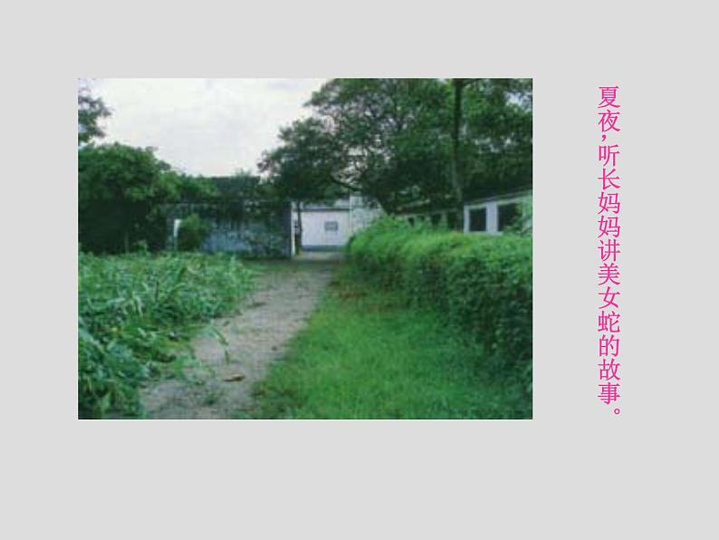 人教部编语文七年级上 从百草园到三味书屋2 课件07
