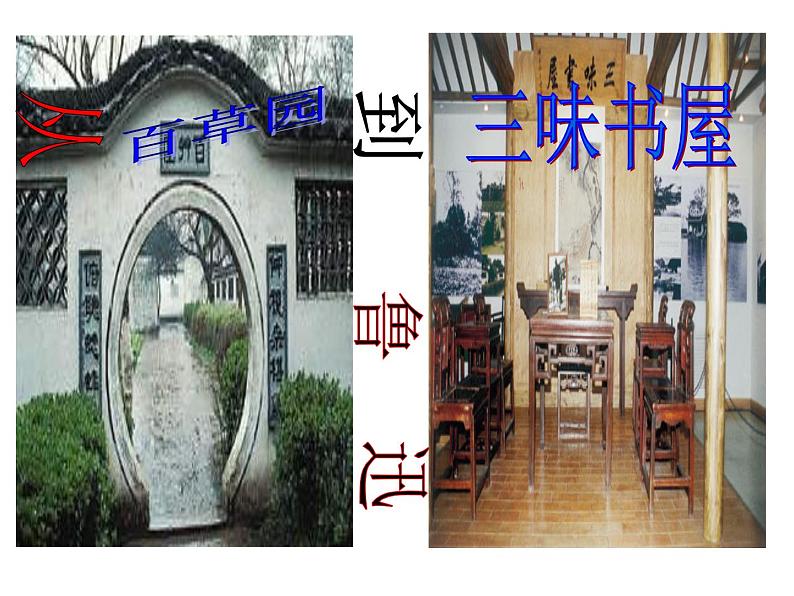 人教部编语文七年级上 从百草园到三味书屋6 课件04