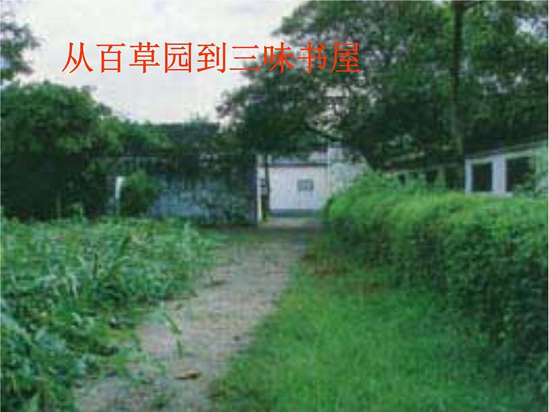 人教部编语文七年级上 从百草园到三味书屋1 课件01