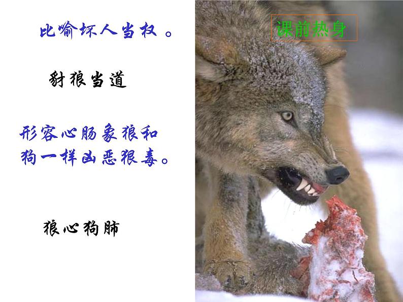 人教部编语文七年级上 狼8 课件06