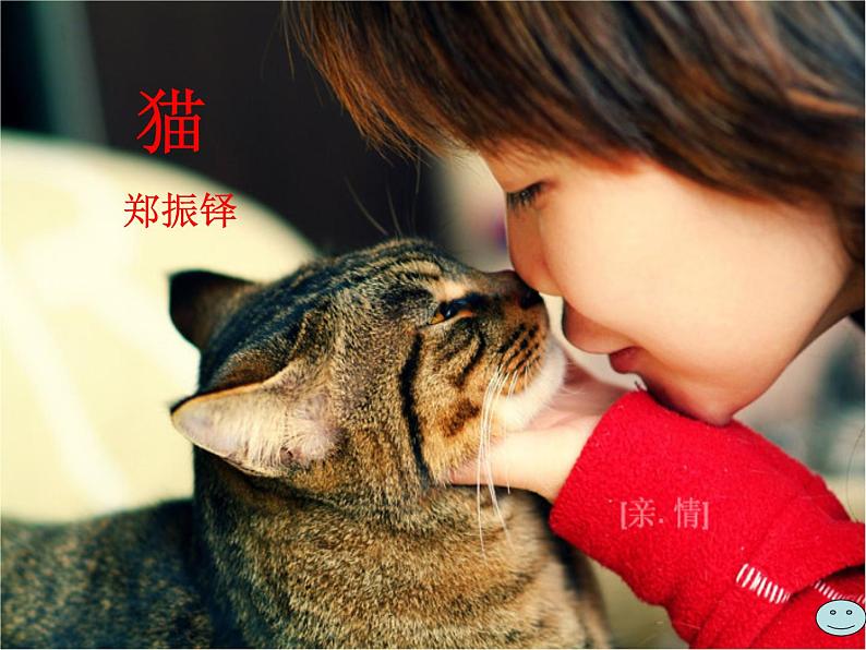 人教部编语文七年级上 猫4 课件02