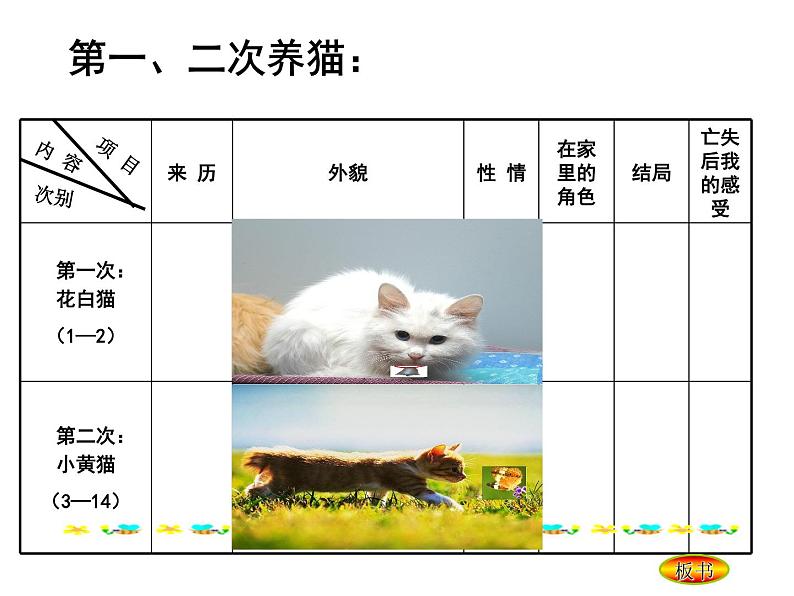 人教部编语文七年级上 猫4 课件04