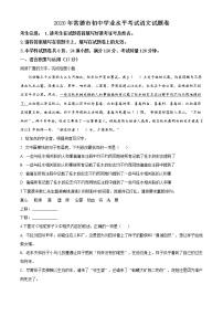 精品解析：湖南省常德市2020年中考语文试题（原卷版）