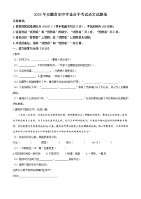 精品解析：安徽省2020年中考語(yǔ)文試題（原卷版）