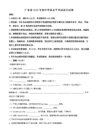 精品解析：廣東省2020年中考語(yǔ)文試題（原卷版）