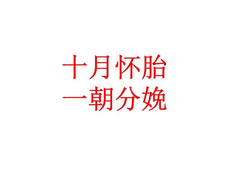 部编版语文七年级下册综合性学习 孝亲敬老 ,从我做起 主课件04