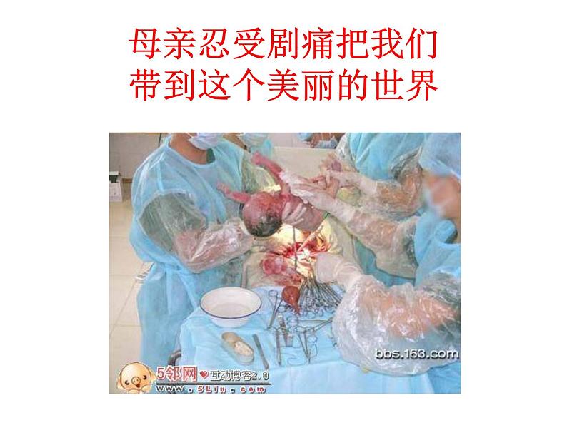 部编版语文七年级下册综合性学习 孝亲敬老 ,从我做起 主课件05