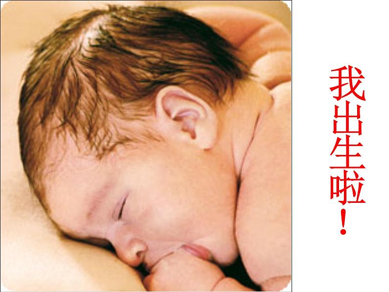 部编版语文七年级下册综合性学习 孝亲敬老 ,从我做起 主课件06