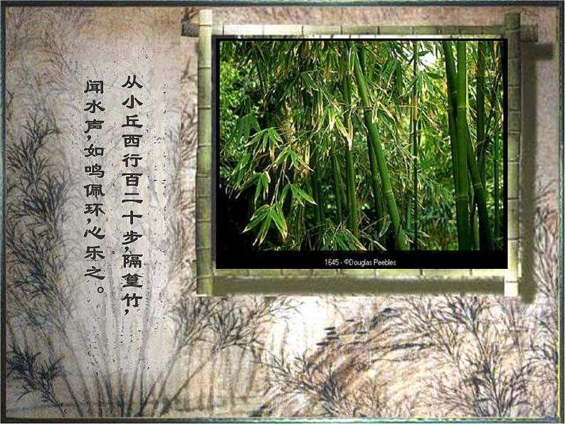 人教部编版语文八年级下册10《小石潭记》ppt课件(39页)08