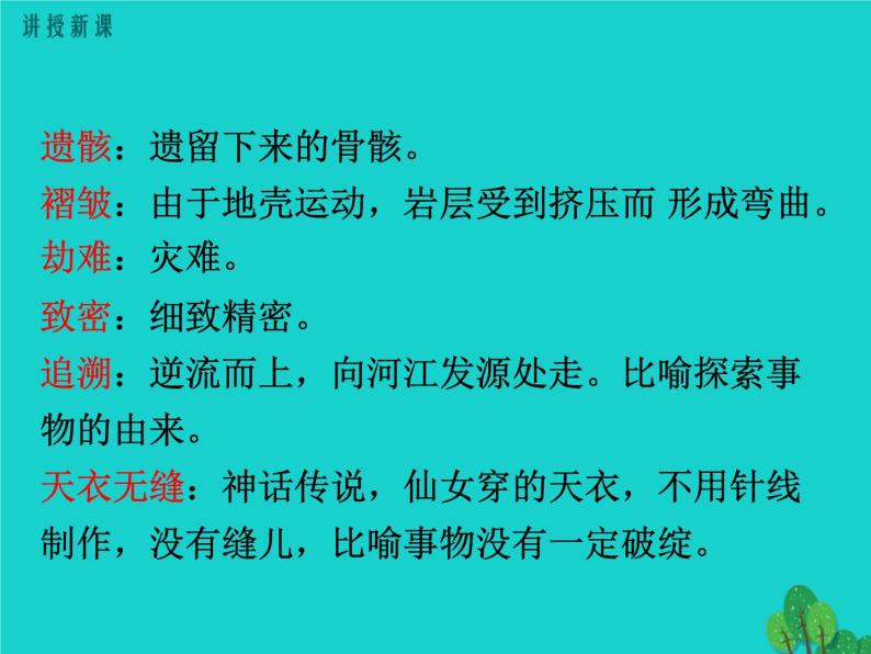 人教部编版语文八年级下册6《恐龙无处不在》ppt示范课件08