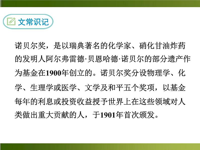 人教部编语文八年级上 -2 首届诺贝尔奖颁发 (共13张PPT)04