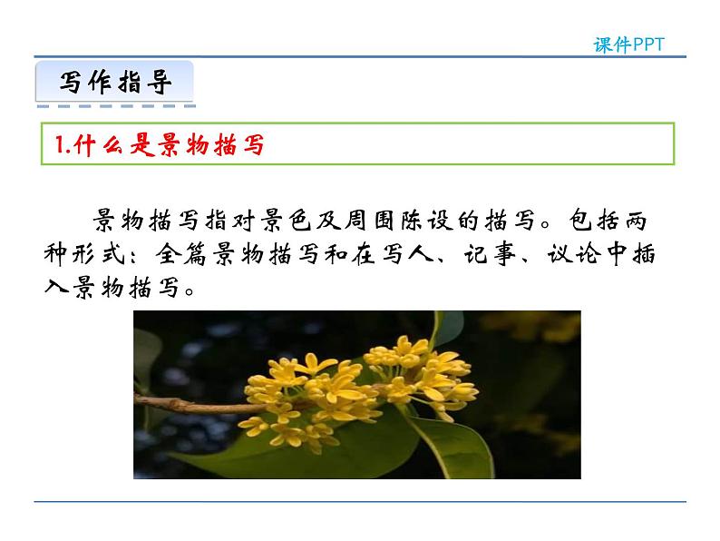 人教部编语文八年级上 第三单元 写作 学习描写景物 课件04