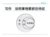 初中语文人教部编版八年级上册写作 说明事物要抓住特征图片ppt课件