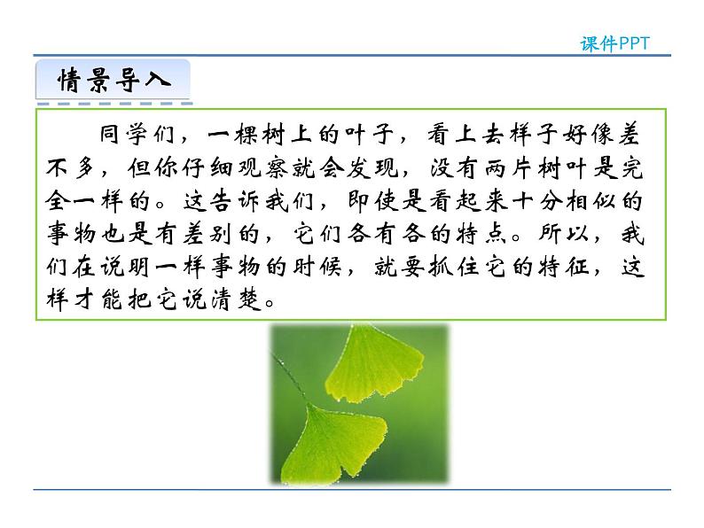 人教部编语文八年级上 第五单元 写作 说明事物要抓住特征 课件03