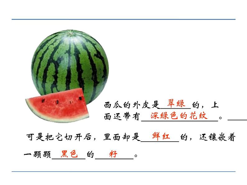 人教部编语文八年级上 第五单元 写作 说明事物要抓住特征 课件04