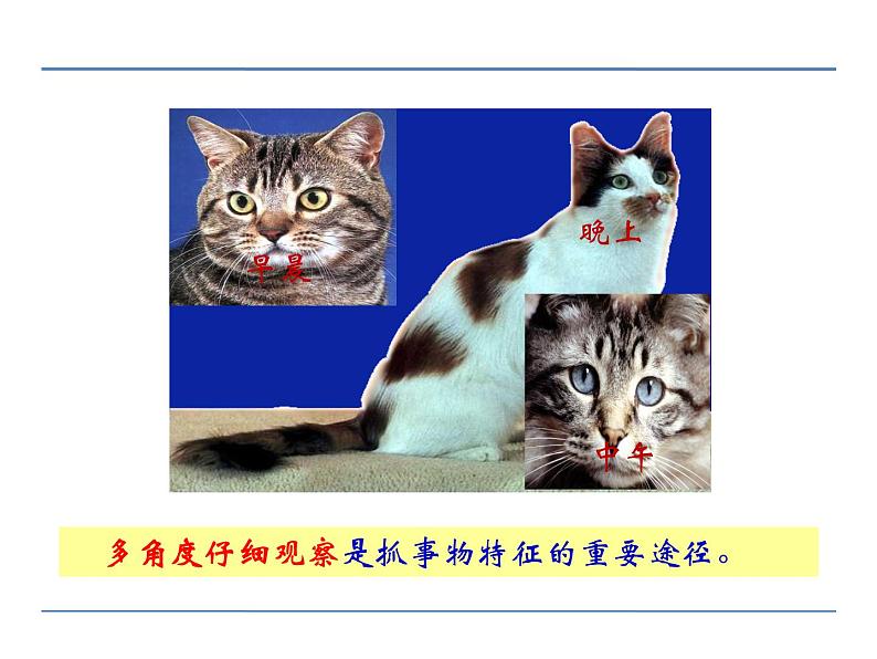 人教部编语文八年级上 第五单元 写作 说明事物要抓住特征 课件07