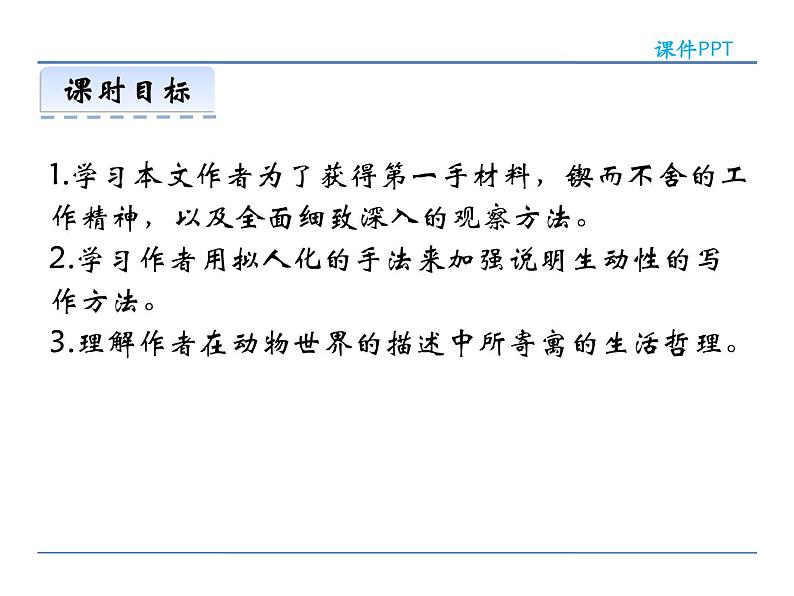 人教部编语文八年级上 19  蝉 课件03