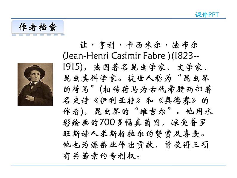 人教部编语文八年级上 19  蝉 课件04