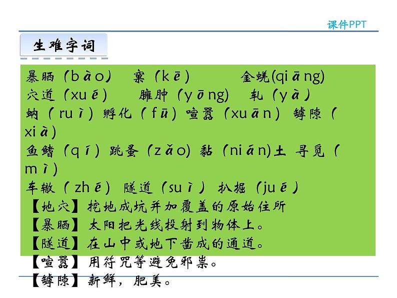 人教部编语文八年级上 19  蝉 课件06