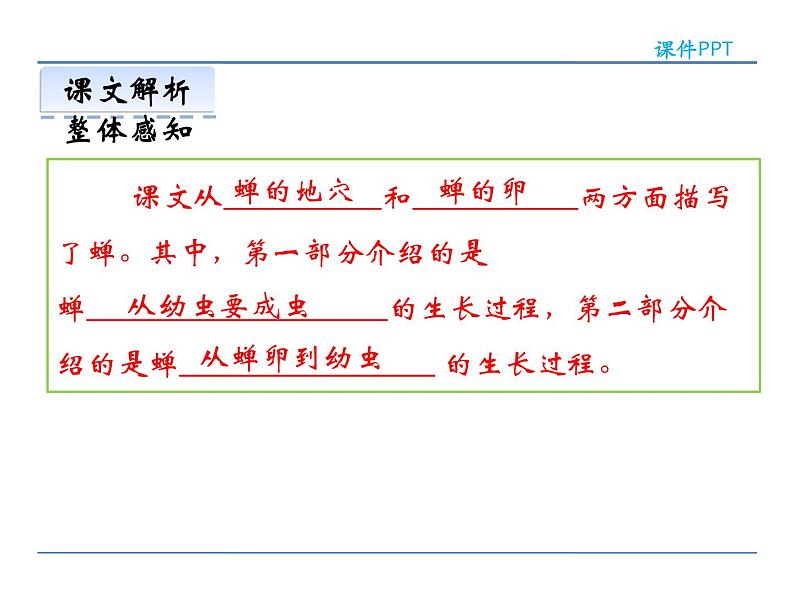 人教部编语文八年级上 19  蝉 课件07
