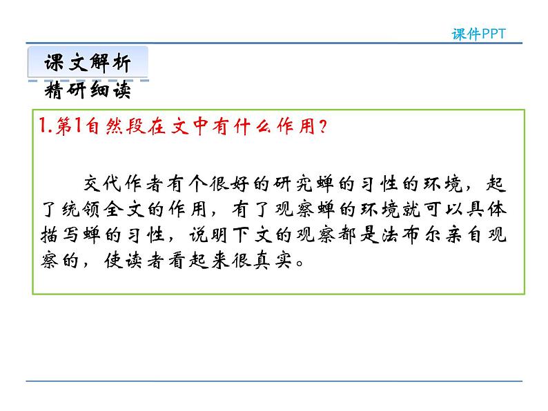 人教部编语文八年级上 19  蝉 课件08