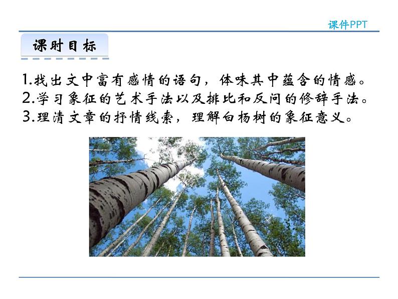 人教部编语文八年级上 14 白杨礼赞 课件03