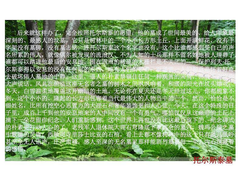 人教部编语文八年级上 7.列夫托尔斯泰 (共17张PPT) 课件08