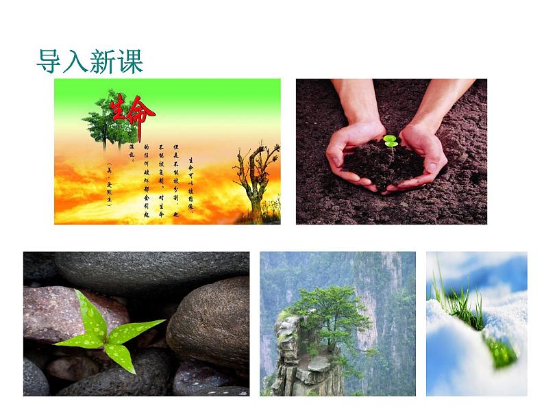 人教部编语文八年级上 15.散文二篇 (共47张PPT) 课件04