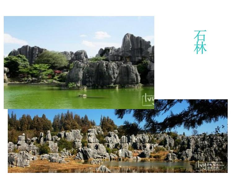 人教部编语文八年级上 14.昆明的雨 (共24张PPT) 课件07