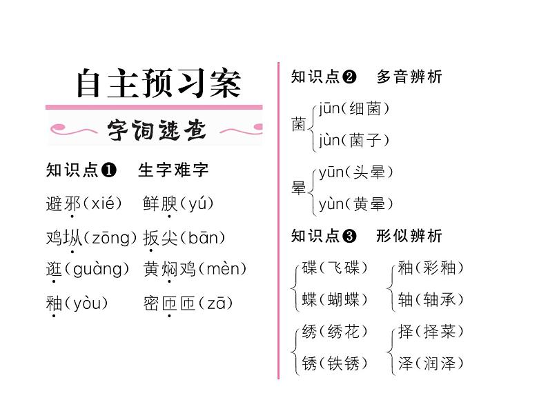 人教部编语文八年级上 名师课件14 昆明的雨 (共26张PPT)03