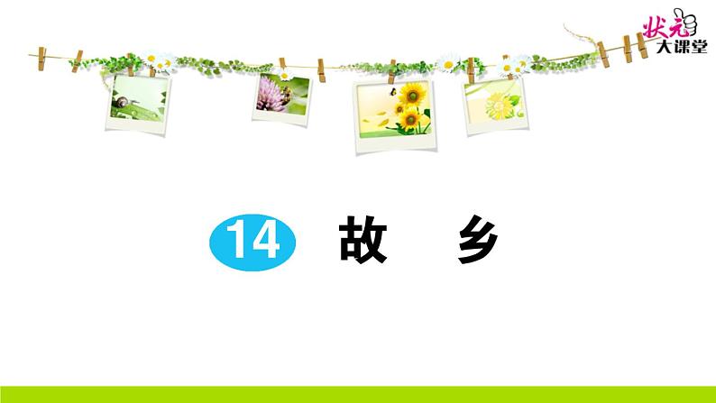 人教部编语文九年级上14 故乡 作业课件01