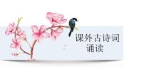 初中語文人教部編版七年級(jí)下冊(cè)課外古詩詞誦讀綜合與測(cè)試圖片ppt課件