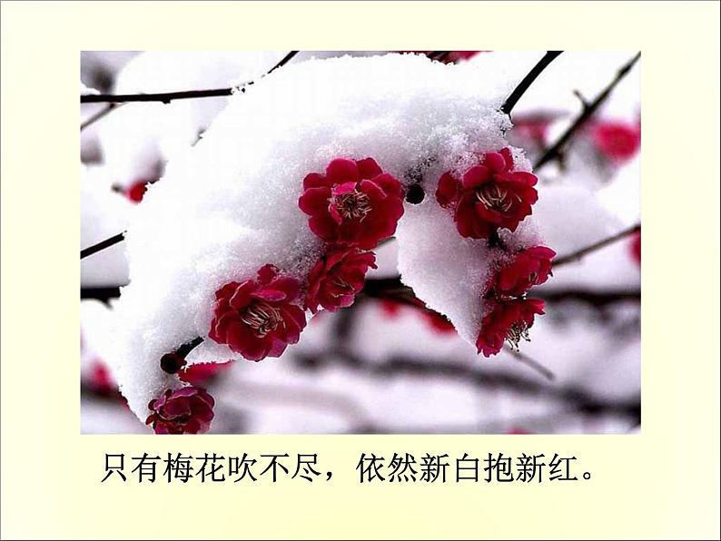 4.卜算子·咏梅 课件04