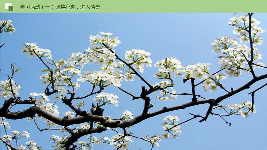 01《春》（課件）第7頁