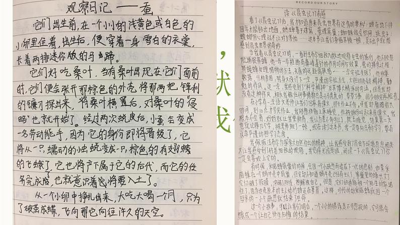 人教部编版八年级语文上册《昆虫记》读后分享课 课件08