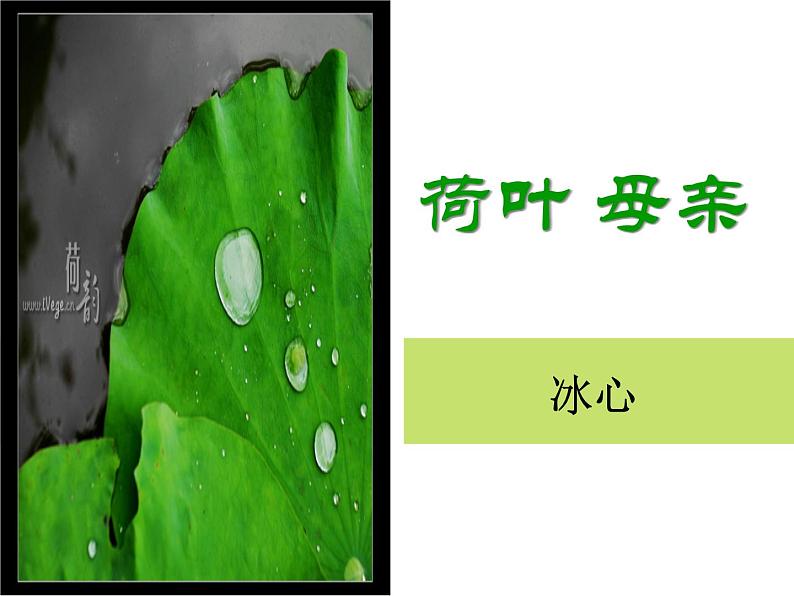 部编版七年级语文上册《荷叶·母亲》PPT优秀课件 (1)第1页