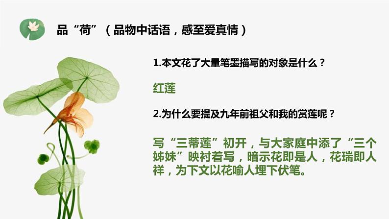 部编版七年级语文上册《荷叶·母亲》PPT课件 (9)第6页