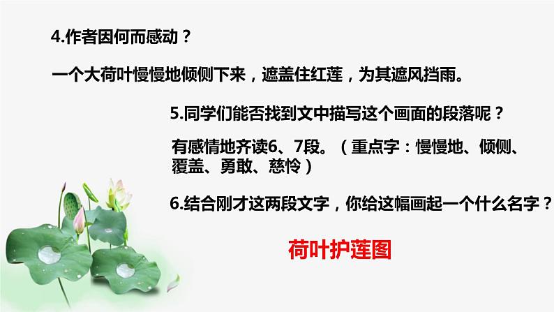 部编版七年级语文上册《荷叶·母亲》PPT课件 (9)第8页