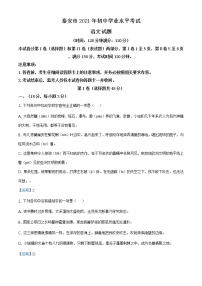 2021年山東省泰安市中考語文試題
