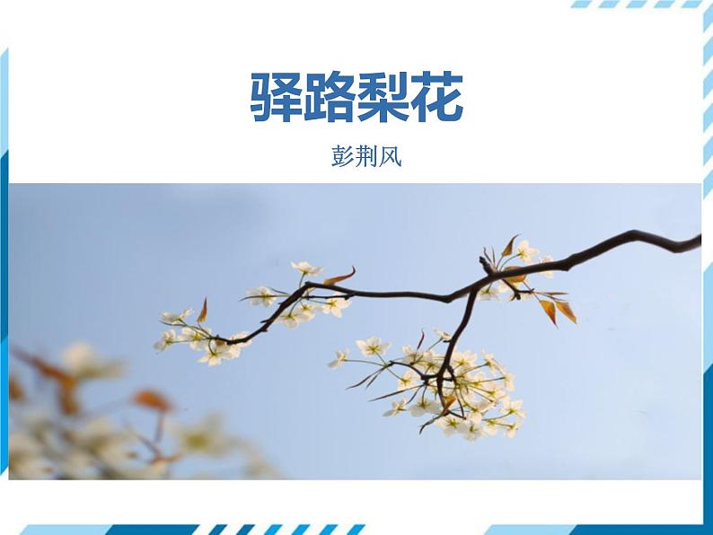 部编版七年级下册语文第4单元《14 (5) ppt第1页