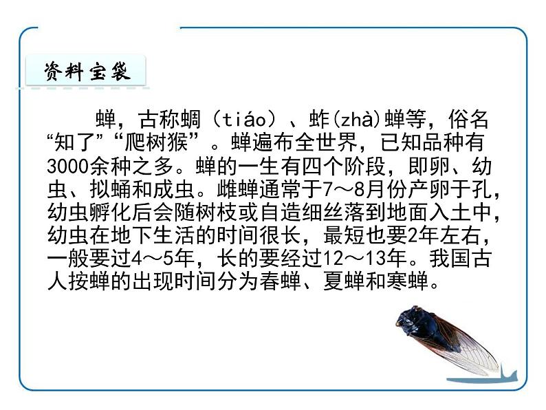 部编版八年级语文上册《蝉》PPT优秀课件 (9)第6页