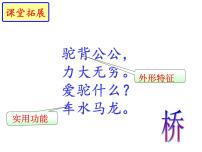 初中语文人教部编版八年级上册17 中国石拱桥评课ppt课件